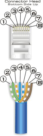 Wiring Diagram Ethernet