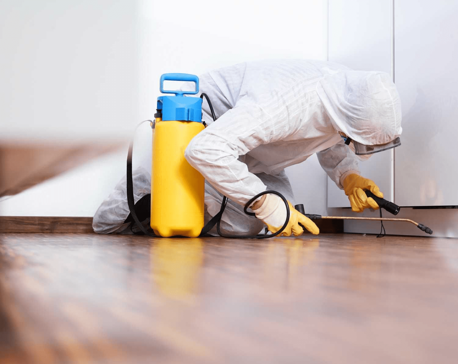 Pest Control Edmonton . Major Pest Control. Bed Bugs,.