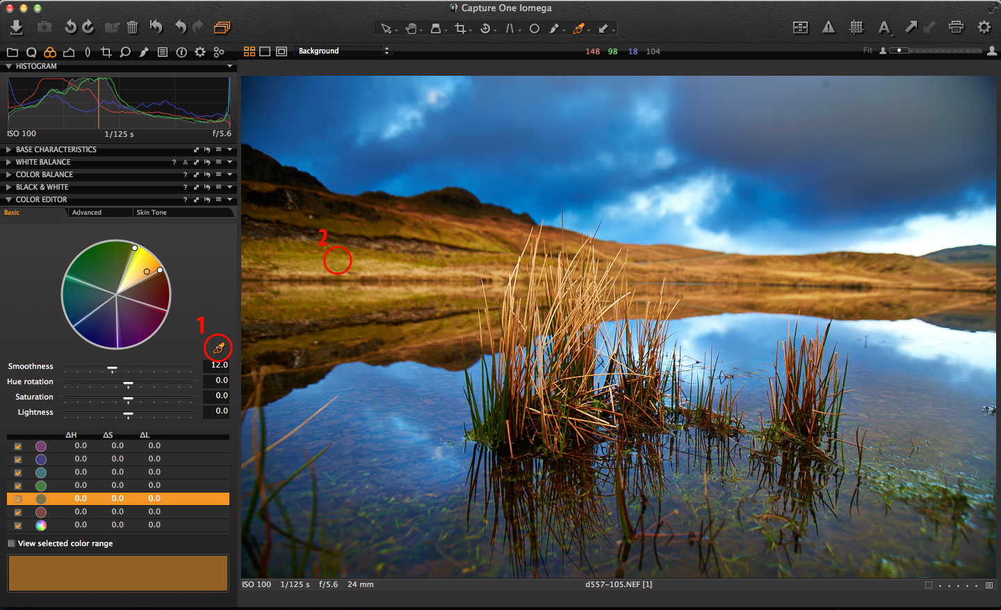 Change Color of Image Online Free Image Color Changer Pixelied
