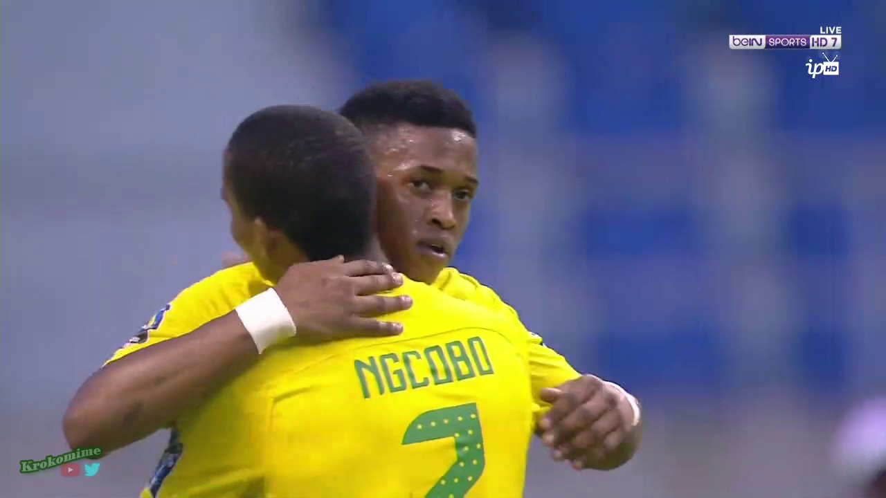Zambia : Cameroon Vs South Africa Goals highlights