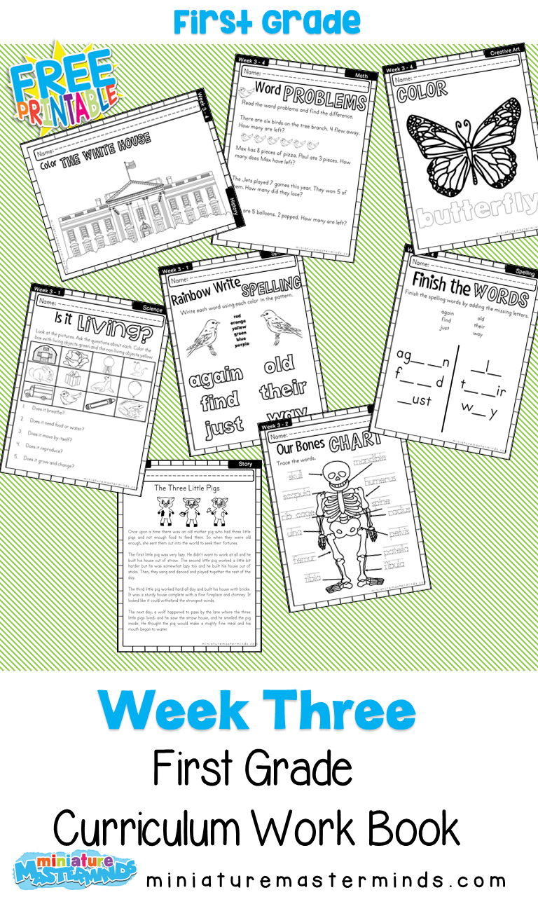 Search Printable 1st Grade Language Arts Worksheets Education