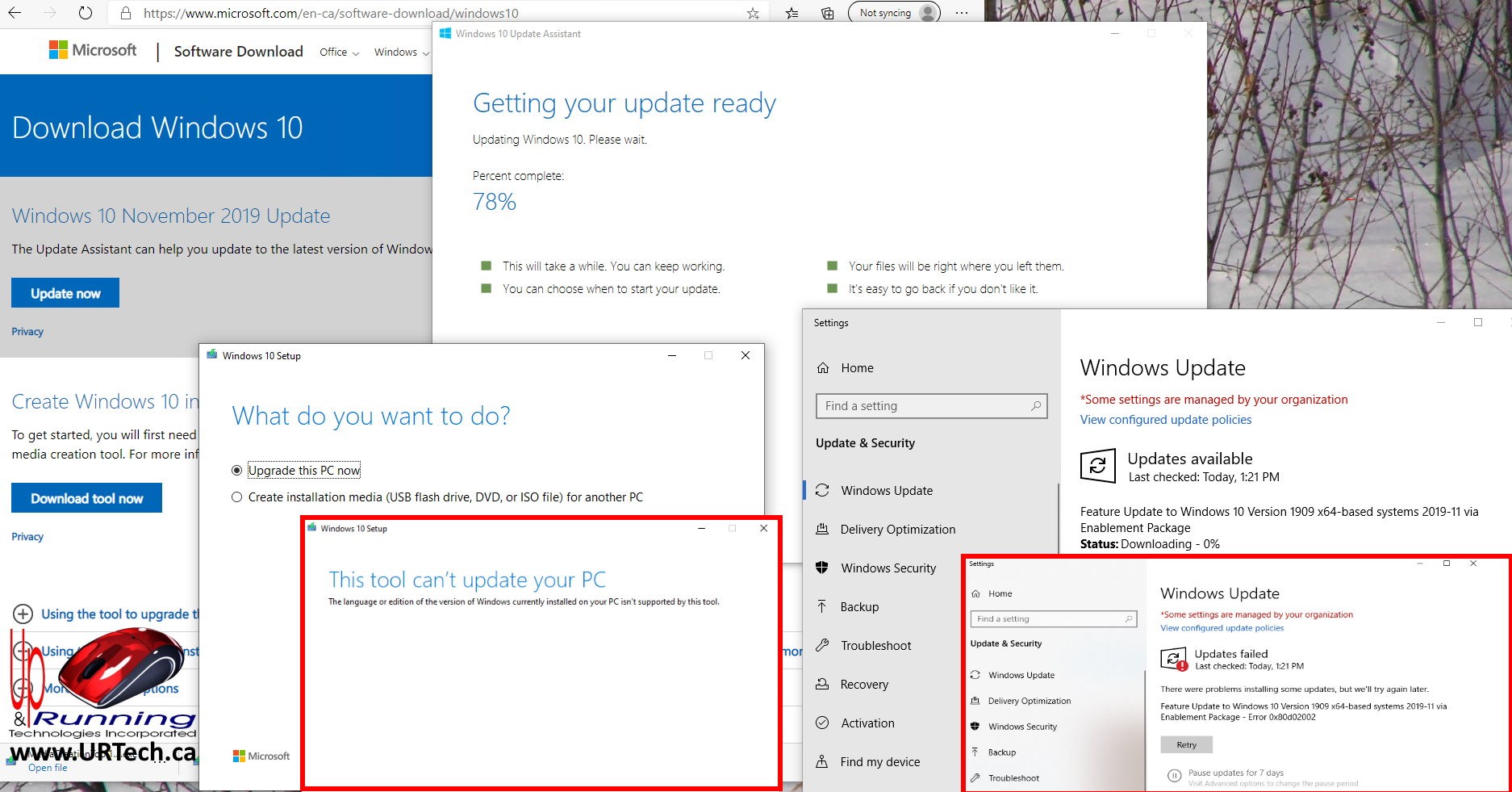 Update Windows Microsoft Support