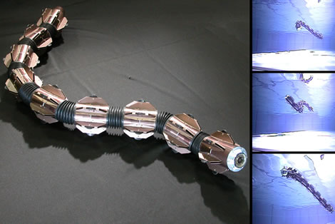 Amphibious Robot Snake