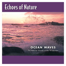 ocean waves,The Formaio of Ocea Waves-数据恢复公司