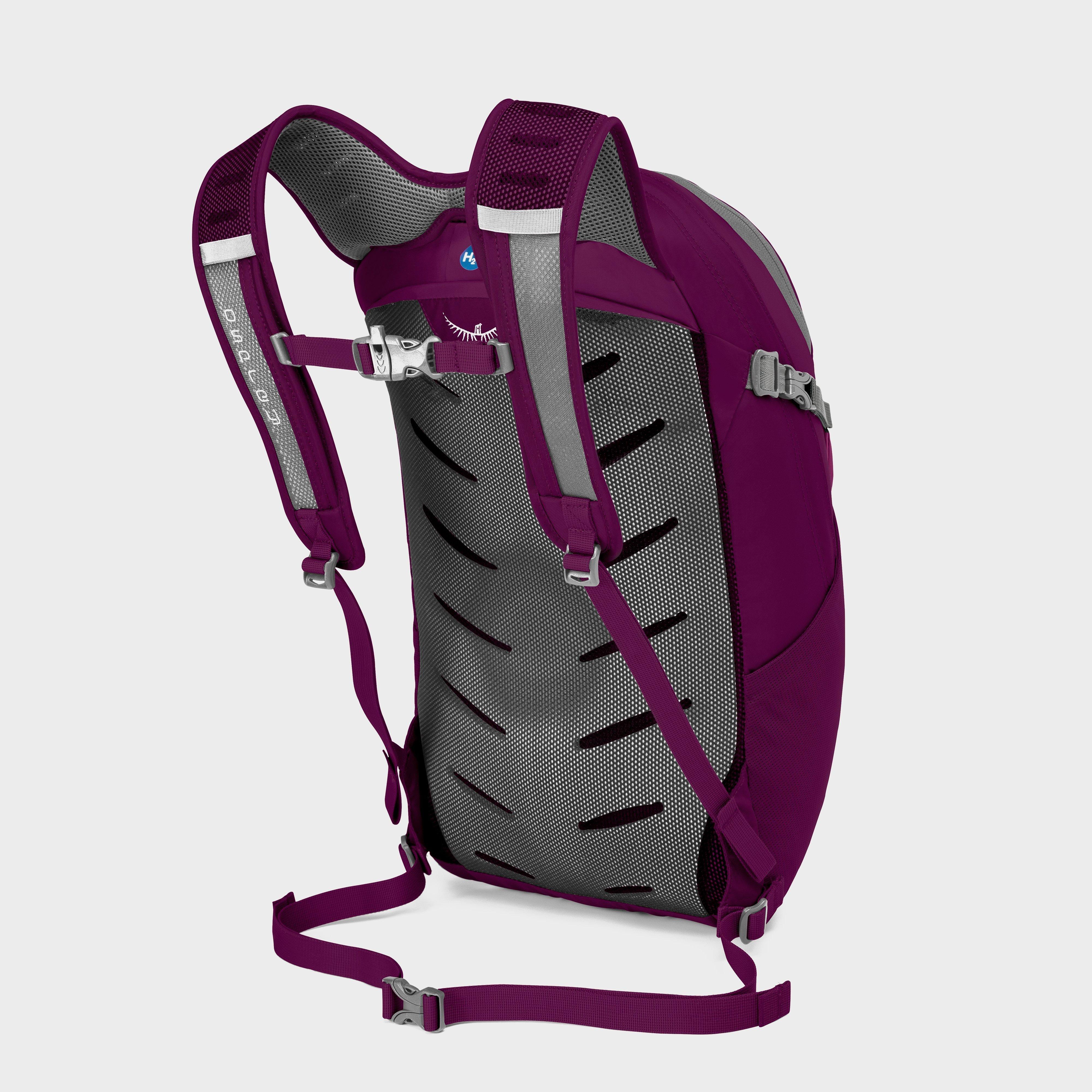 Osprey Daylite Plus 20L Daypack Reviews Updated August 2023