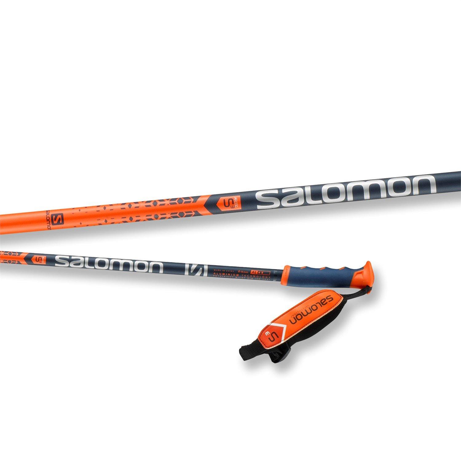 Salomon Arctic S3 Ski Pole