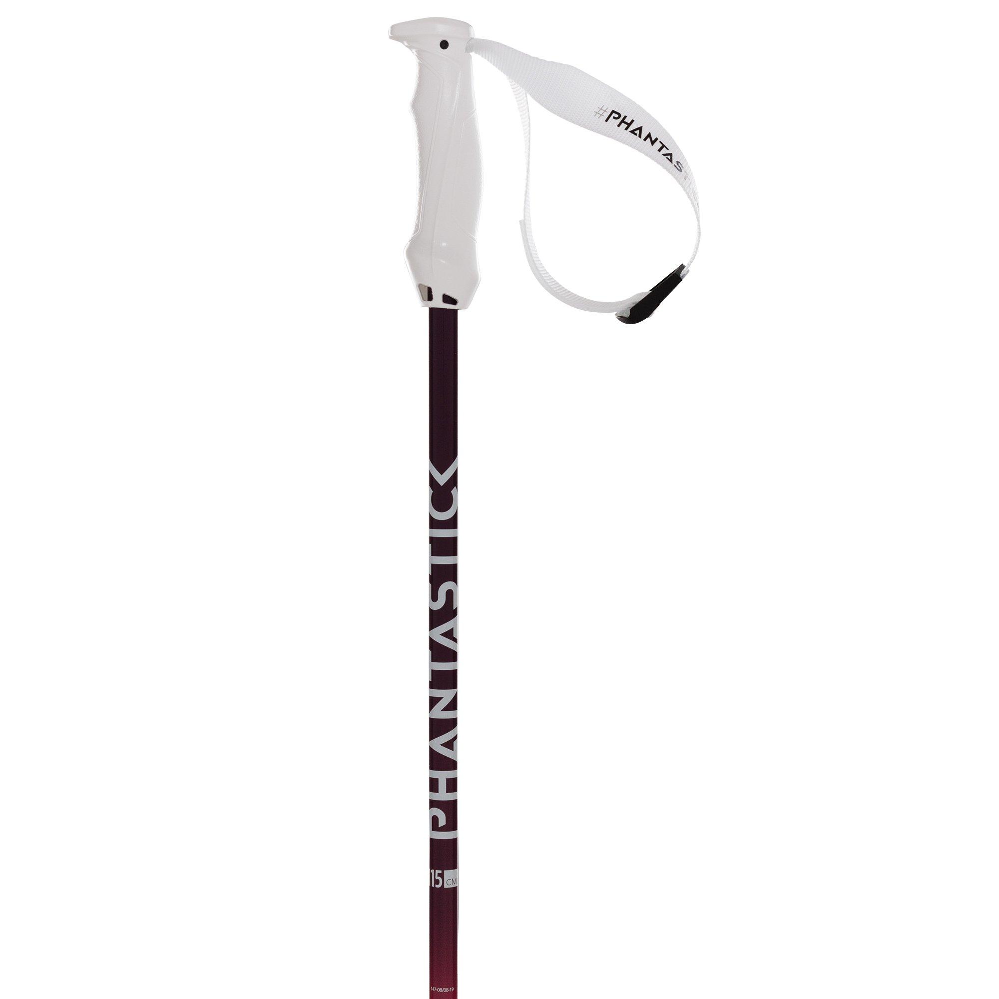 Women's Volkl Phantastick Ski Pole Women's Ski Poles Tiso UK