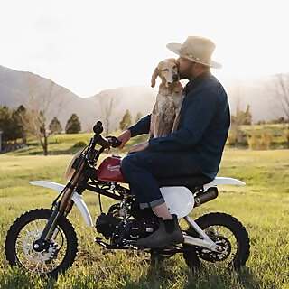 Top 100 Dog Influencers in 2024