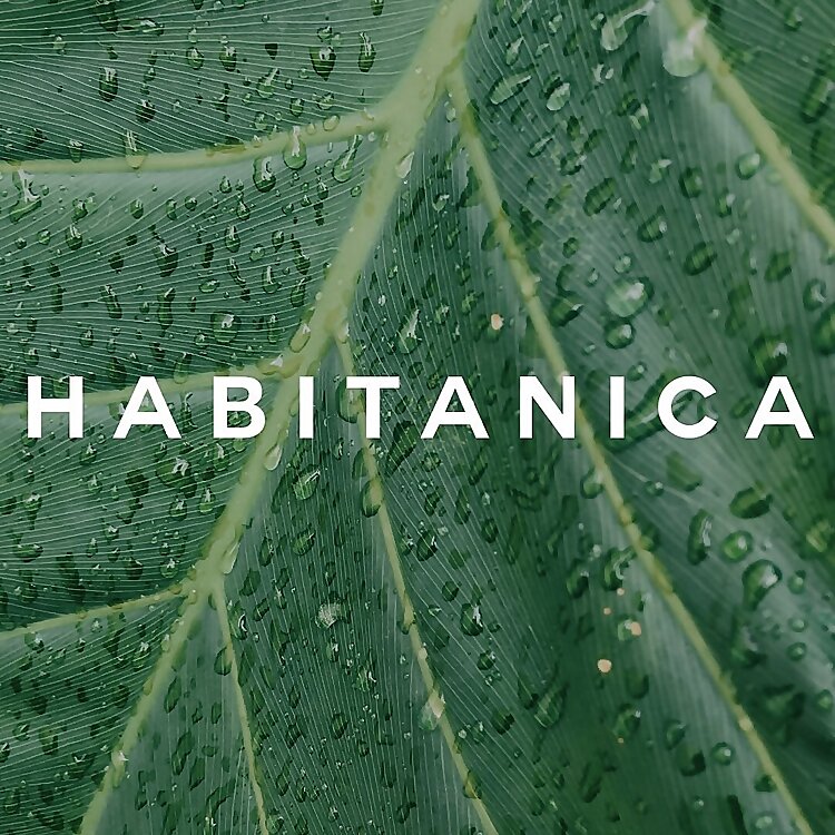 Top 60 Plant Influencers in 2024