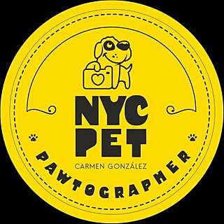 Top 20 New York Pet Influencers in 2024
