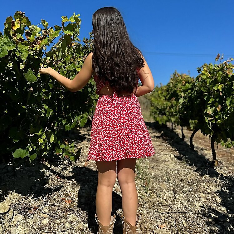 Top 25 Shemale OnlyFans Influencers in 2025