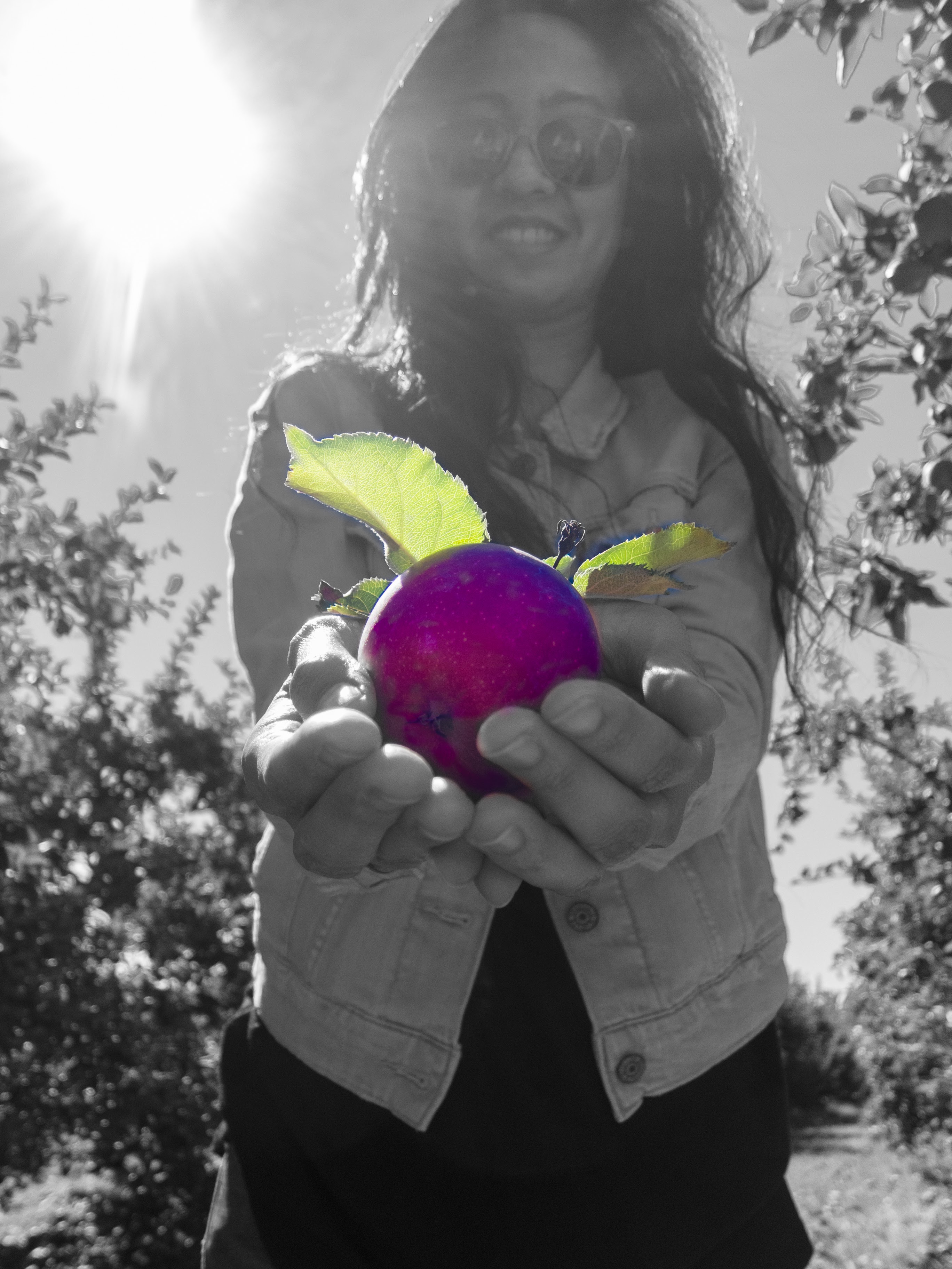 Color Isolation Amalgamated Blog