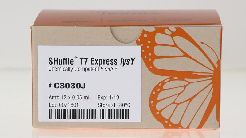 Shuffle T7 Express Lysy Competent E. Coli, New England Biolabs
