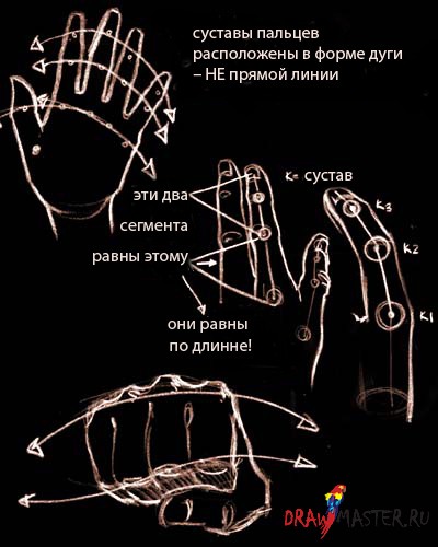 как нарисовать руку на талии