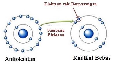 Waspada Efek Buruk Radikal Bebas - Bisakimia