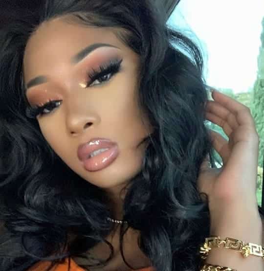 Megan Thee Stallion Biography, Wiki, Height, Age ...