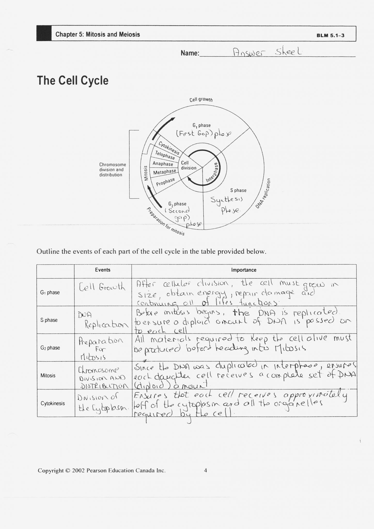 Cells Alive Meiosis Phase Worksheet Answers Quotes About Cell Division 26 Quotes Students Compare Terms Such As Diploid And Haploid Mitosis And Meiosis And Germ Cells And Somatic Cells