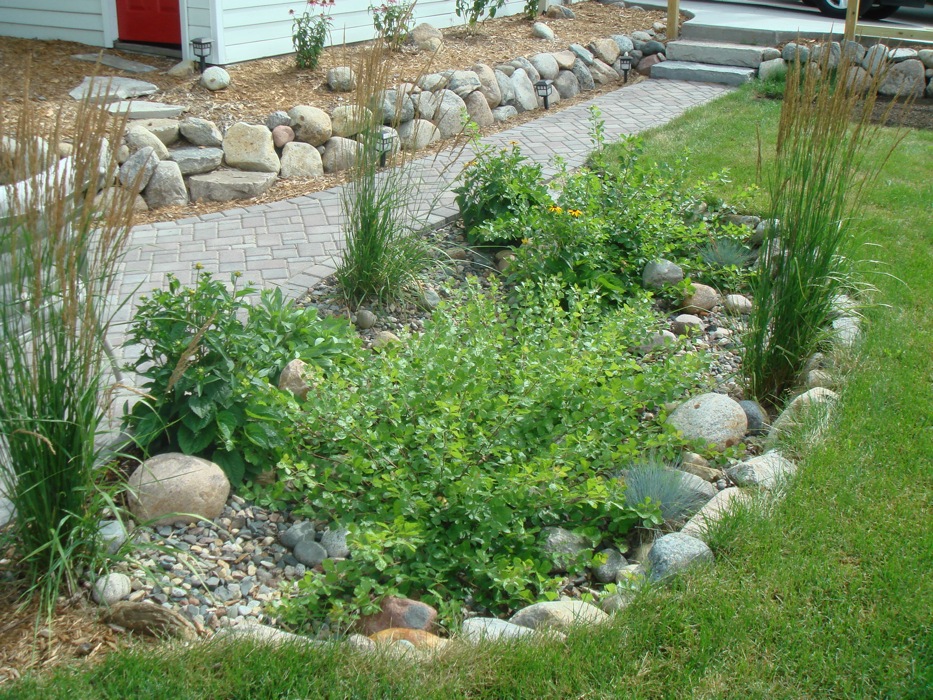 The term rain garden is wide ranging and has been used to describe a number of different features (see why rain gardens? Make a rain garden - GardenDrum