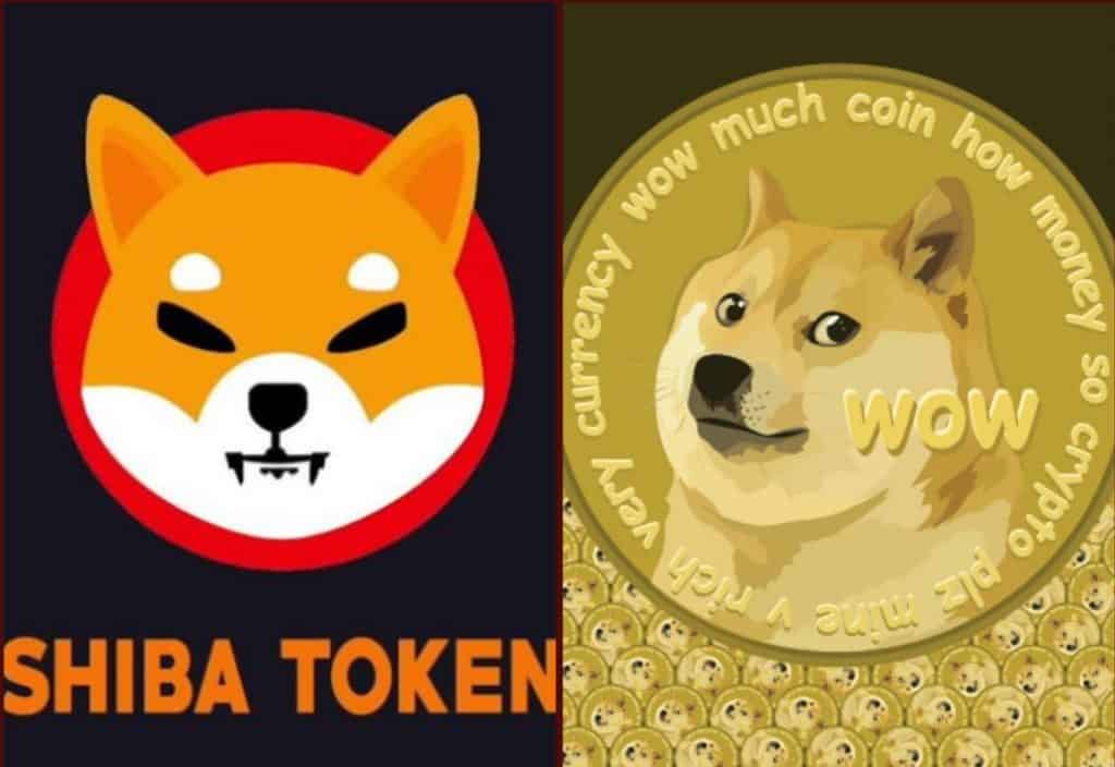 Why Toon Finance Coin DOGE and SHIB are the number three.