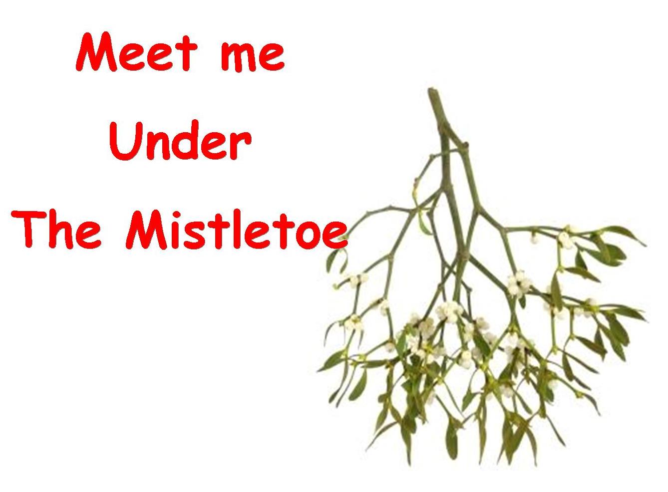 Why We Kiss Under the Mistletoe During Christmas Time