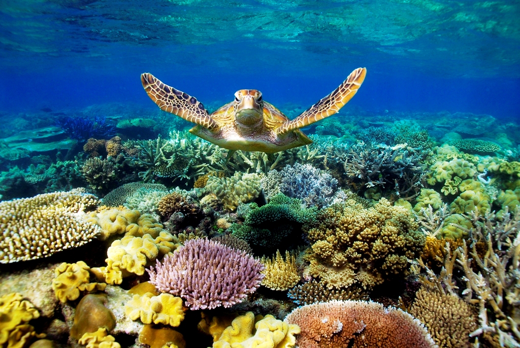 ESA Great Barrier Reef European Space Agency
