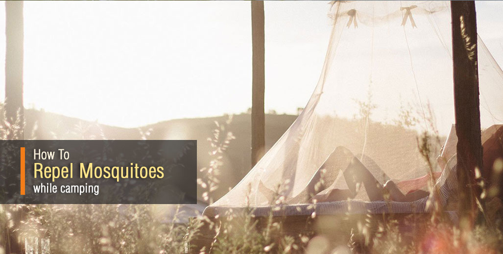 These results also doesn't preclude that very heavy, temporary, smoke may be effective to get rid of mosquitoes they are repelled by burning citronella oil. How to Repel Mosquitoes while Camping : Keep Mosquitoes Away