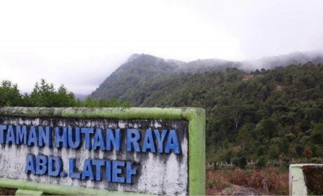 Malimbu green area proposal pengembangan wisata kawasan sempadan pantai malimbu desa : Proposal Pengelolaan Hutan Sebagai Tempat Wisata ...