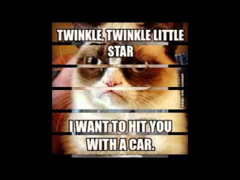 24 hilarious christmas memes to post during the holidays. 46 SUPER FUNNY GRUMPY CAT MEMES!!!! (Clean) | World Cat Comedy
