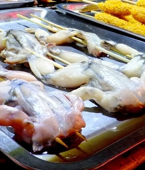 Hukum Memakan Daging Katak | Pesantren Darusy Syahadah