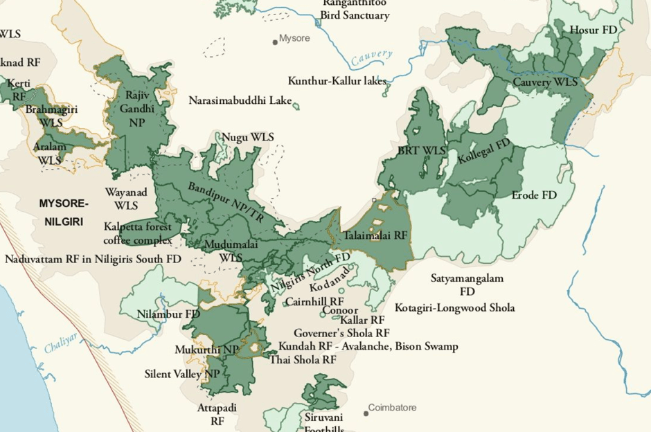 The Best Animal Shelters in America Pet News Daily