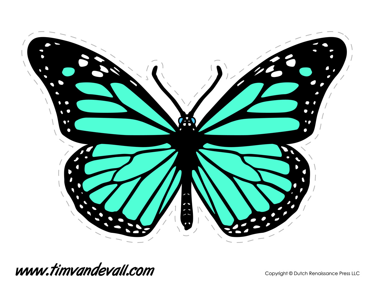 Butterfly Coloring Pages & Drawings Learn About Nature