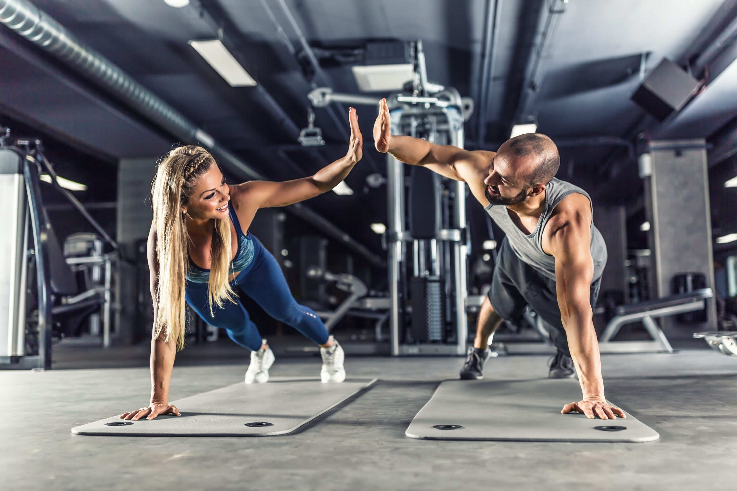 Physiotherapy Edmonton - Gym Graphic - Human Integrated Performance
