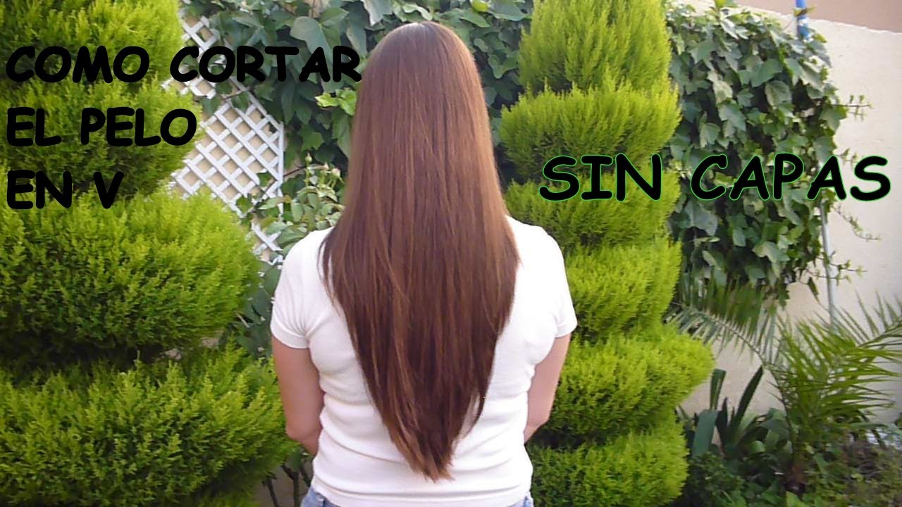 COMO CORTAR EL PELO EN V SIN CAPAS / HOW TO CUT HAIR IN V WITHOUT