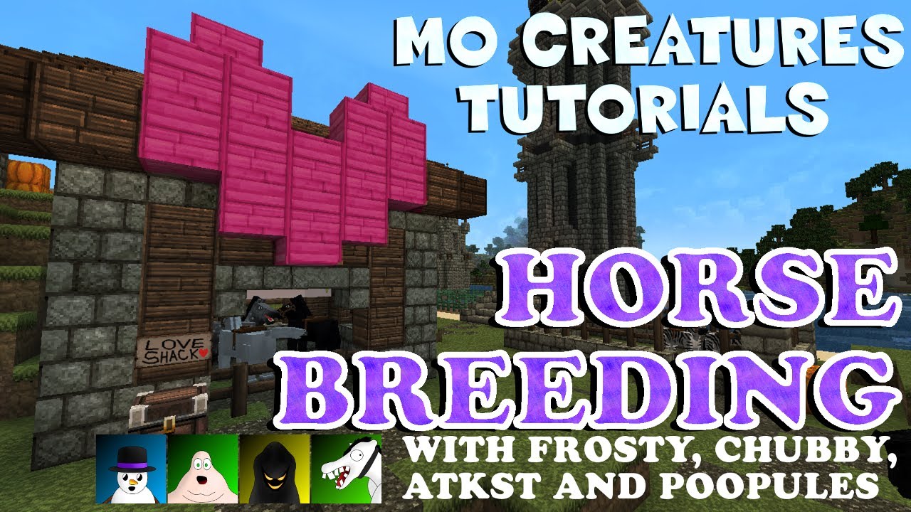 Minecraft Mo Creatures Tutorial How To Breed Horses (Including New Hidden Horse Type) YouTube