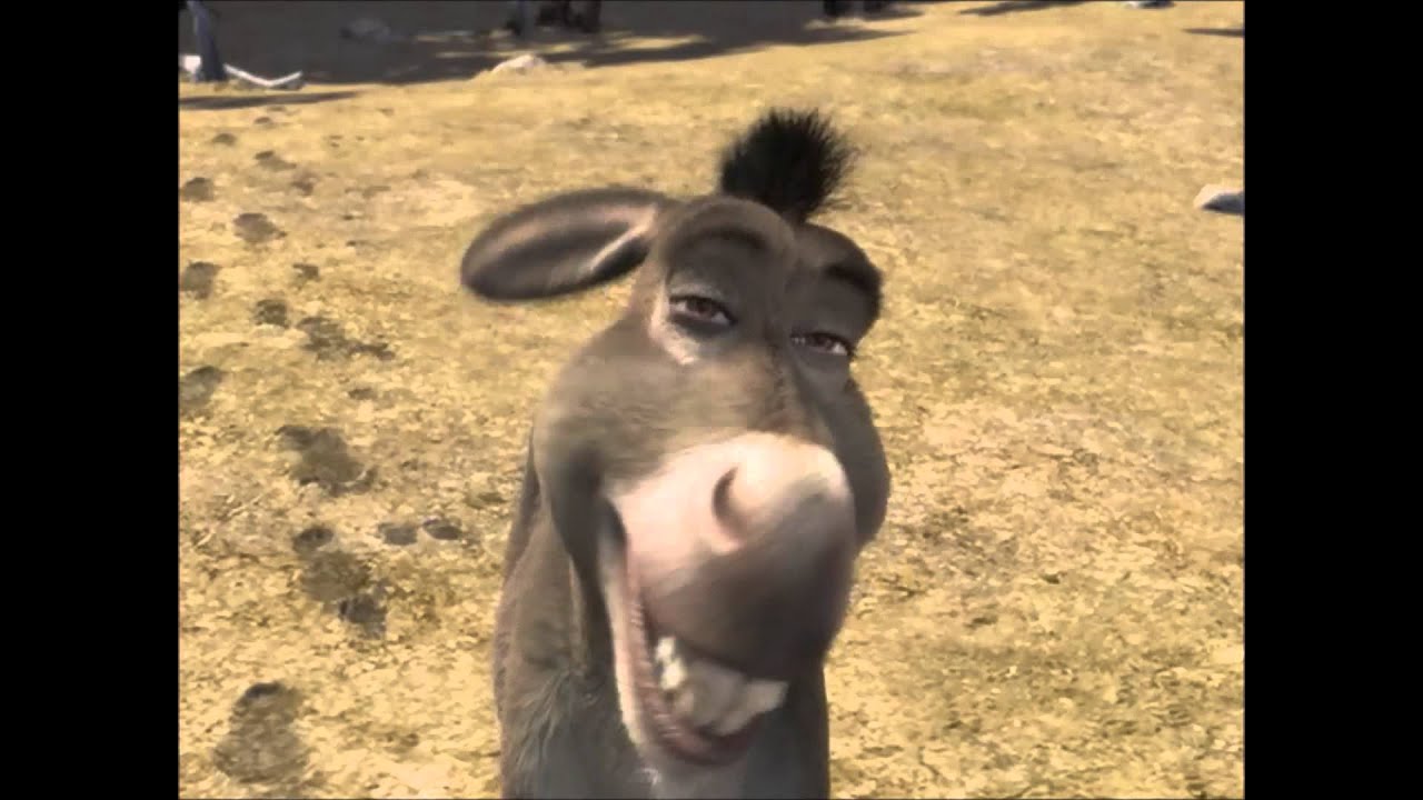 Donkey "Really?" Shrek YouTube