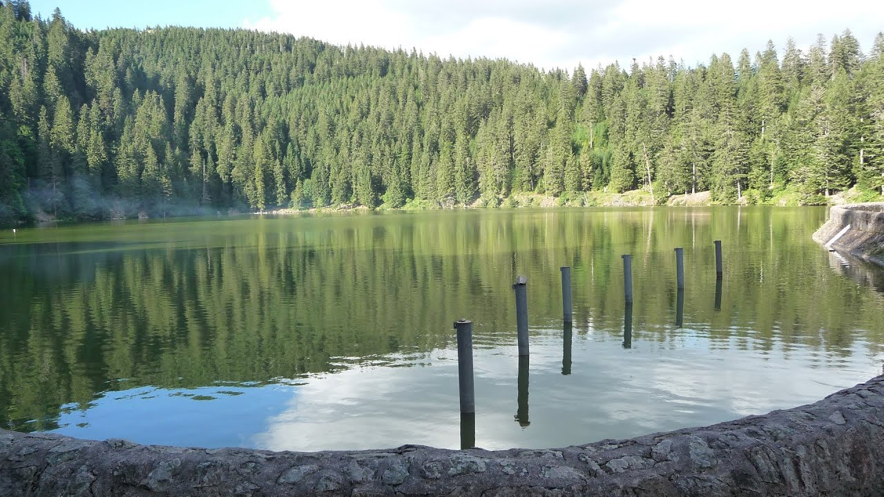 Le massif des Vosges Le tour du lac Vert ou lac de Soultzeren YouTube