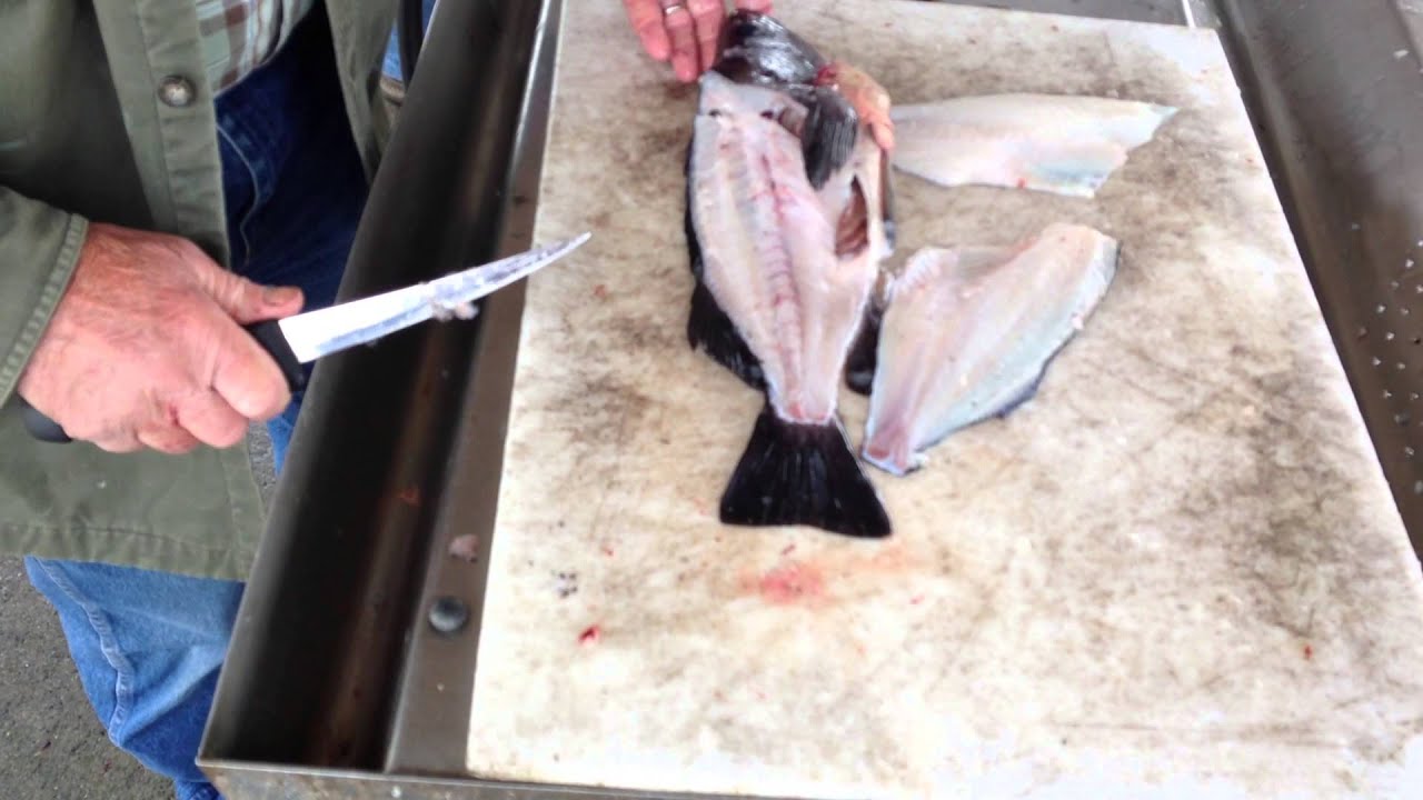 How To Fillet A Black Sea Bass YouTube