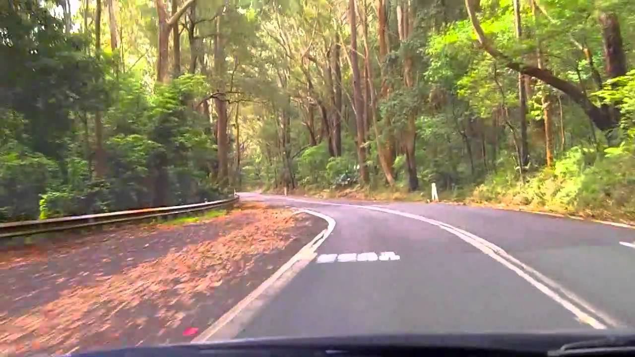 Sydney's Best Driving Roads Royal National Park YouTube