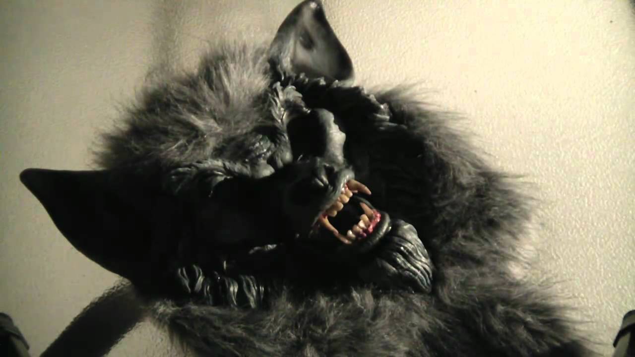 TGO HOW TO KILL A WEREWOLF! LULZ! YouTube