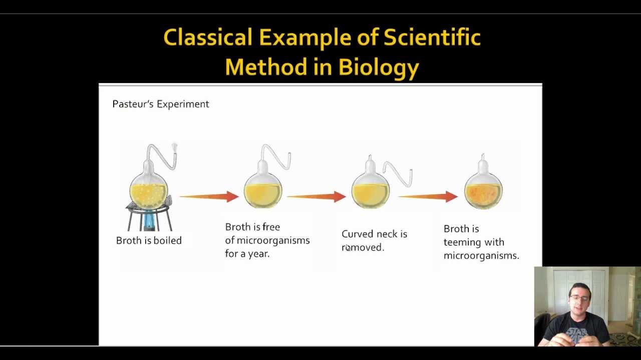 Classic Biology Example of Scientific Process Spontaneous Generation