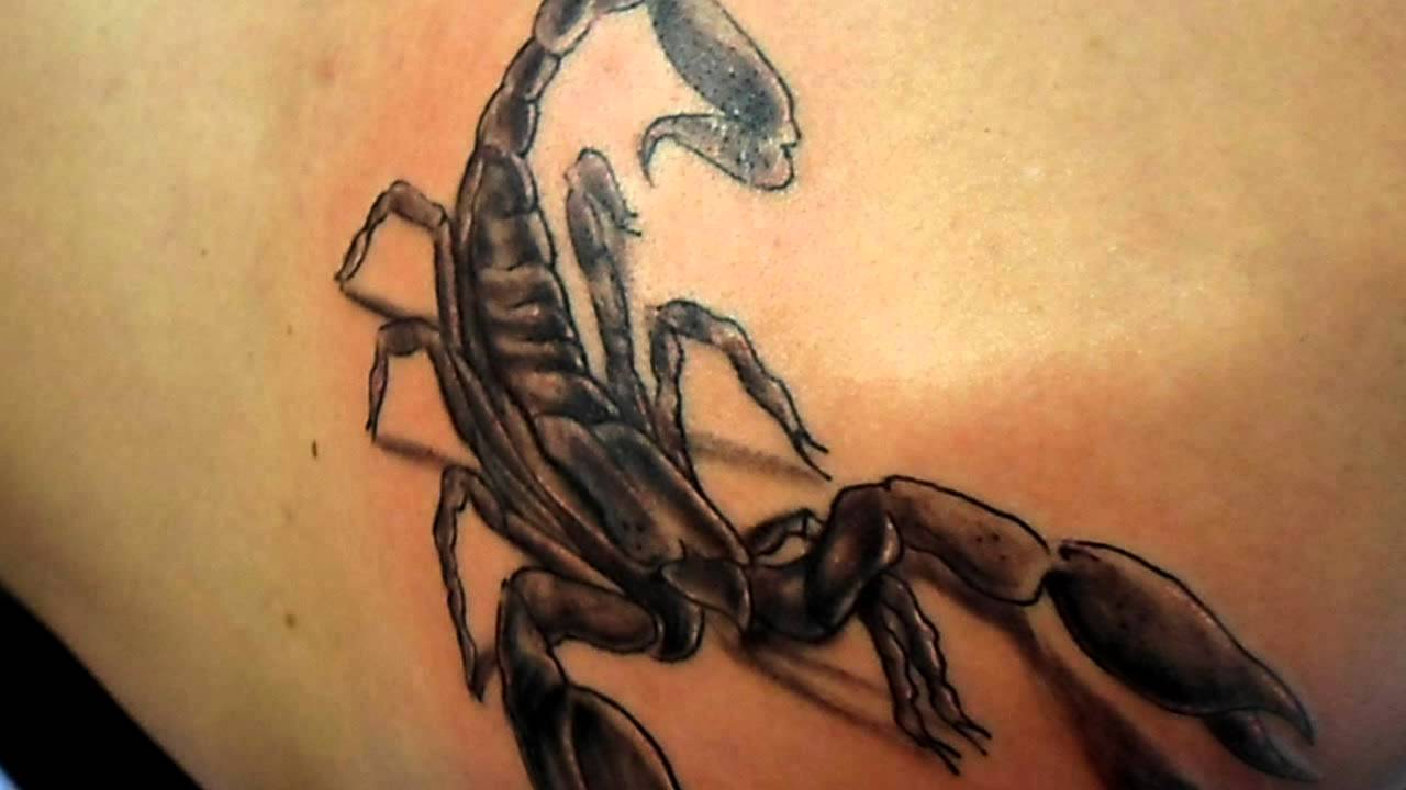 Tattoo Escorpião (SheevaTattoo) YouTube