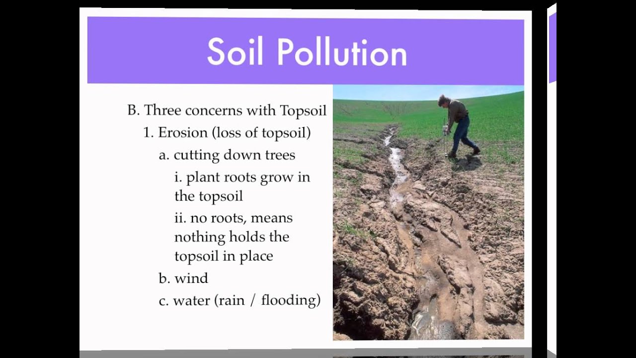 Water Quality Soil Pollution YouTube