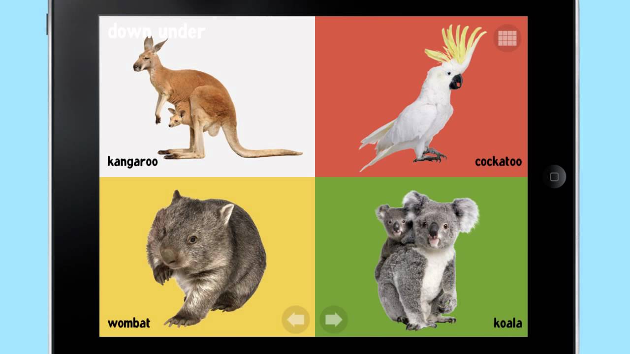 100 Animals for Babies & Toddlers Educational Mobile Learning Game