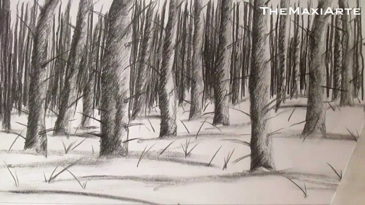 Dibujo de un bosque con nieve, cómo dibujar nieve y