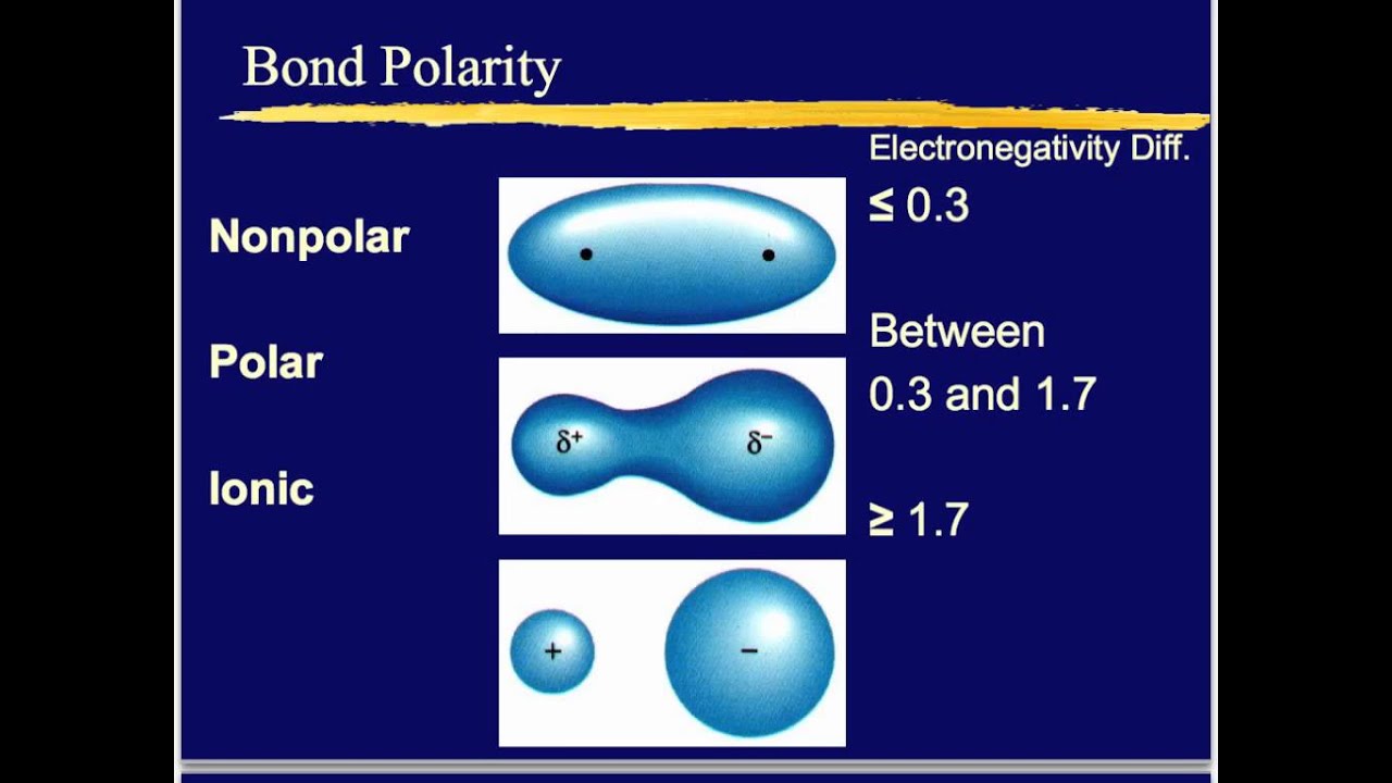 Polar & Nonpolar covalent bonds ch 6 YouTube