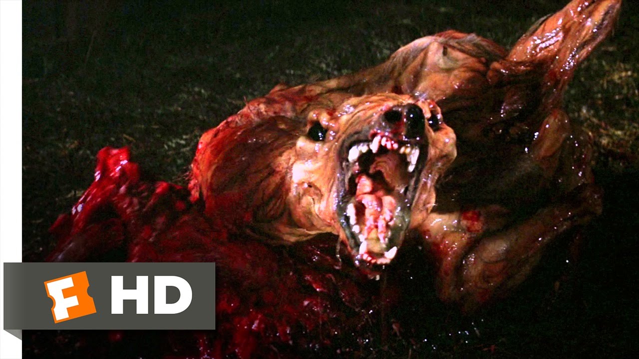 The Thing (2/10) Movie CLIP It's Weird and Pissed Off (1982) HD YouTube
