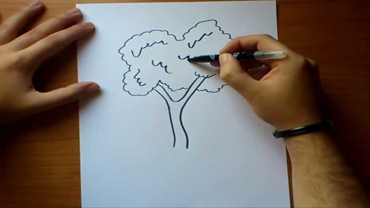 Como dibujar un arbol paso a paso How to draw a tree YouTube