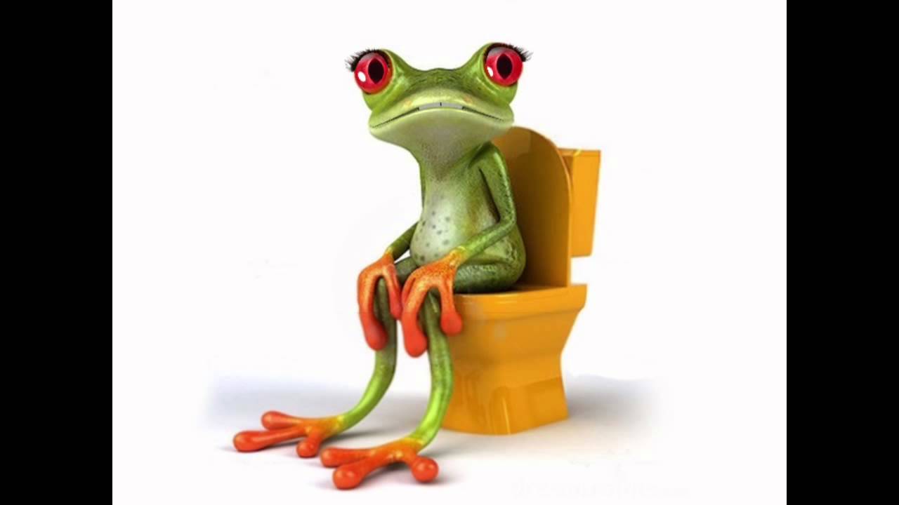 Lustige Frosch witze Folge 10 YouTube