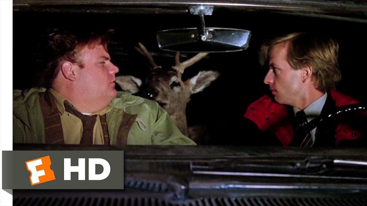 Tommy Boy (4/10) Movie CLIP The Deer Wakes Up (1995) HD YouTube