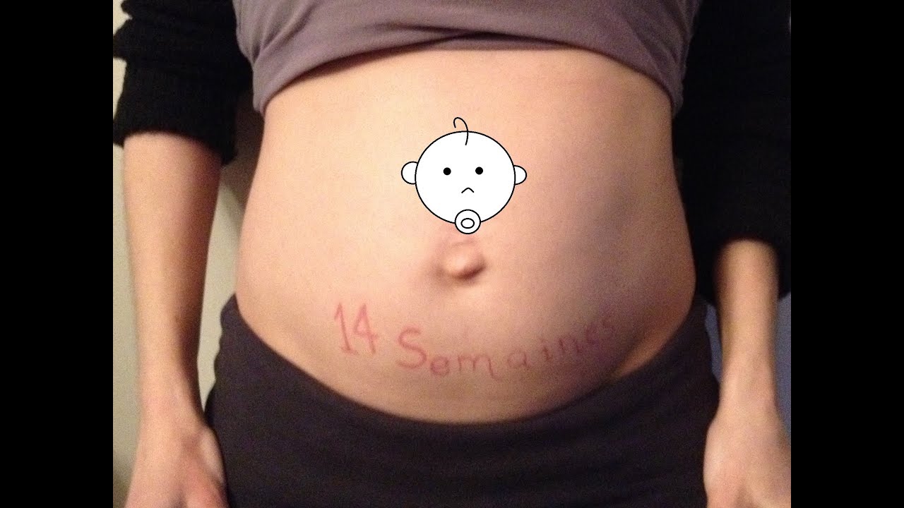Journal de grossesse Semaine 14 YouTube